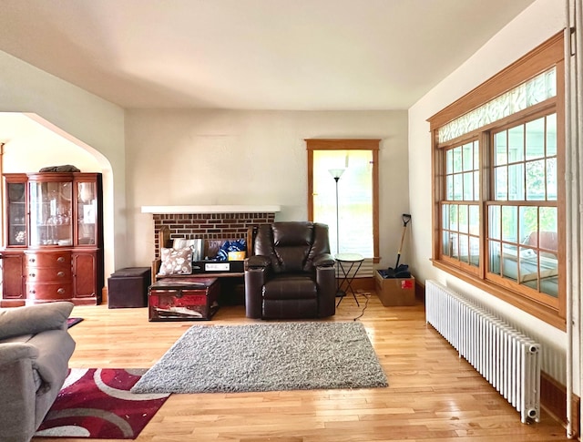 1638 Concordia Ave, Saint Paul, MN 55104 - living area with radiator, wood finished floors, and a fireplace