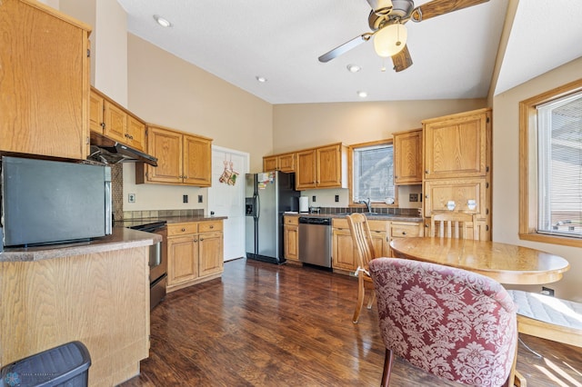 3138 25th Ave S, Fargo, ND 58103 - kitchen featuring stainless steel appliances, dark wood-type flooring, plenty of natural light, under cabinet range hood, and high vaulted ceiling