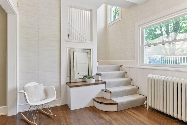 1617 Franklin Ave, Minneapolis, MN 55405 - staircase with radiator heating unit and wood finished floors