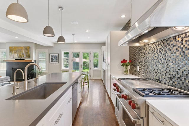 1617 Franklin Ave, Minneapolis, MN 55405 - kitchen featuring exhaust hood, a sink, stainless steel appliances, dark wood finished floors, and decorative backsplash