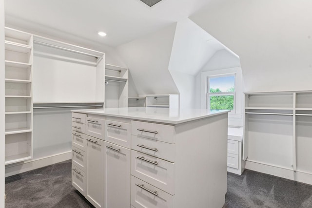 1617 Franklin Ave, Minneapolis, MN 55405 - spacious closet with dark carpet and lofted ceiling