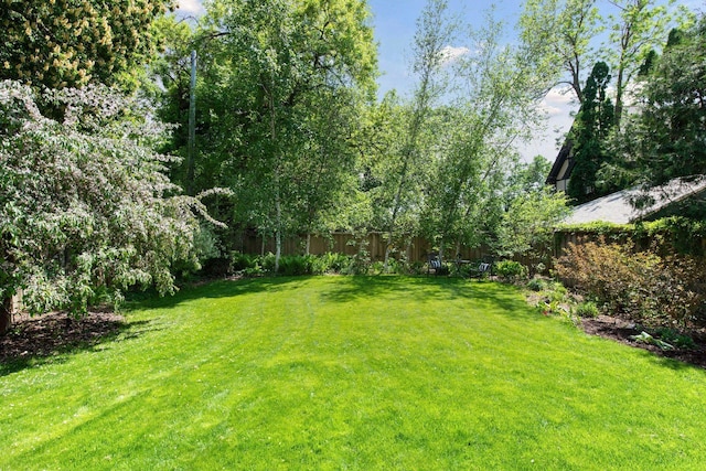 1617 Franklin Ave, Minneapolis, MN 55405 - view of yard