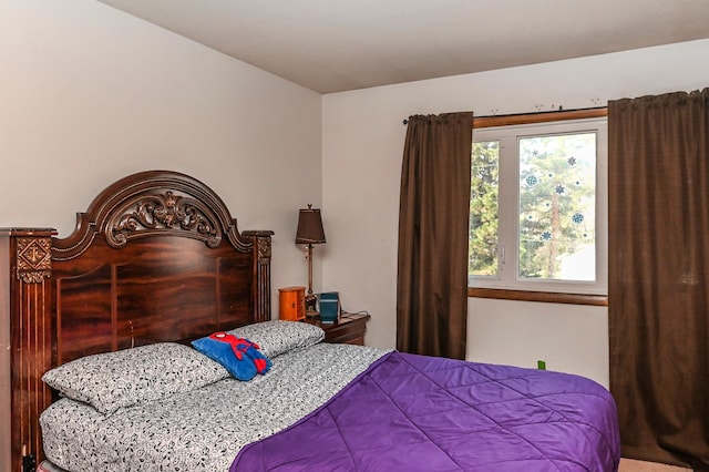 2904 Silver Lake Ct NE, Saint Anthony, MN 55421 - view of bedroom
