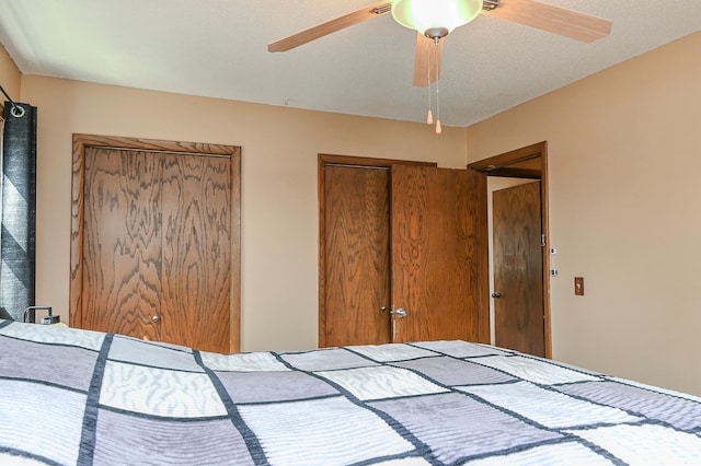 2904 Silver Lake Ct NE, Saint Anthony, MN 55421 - bedroom with two closets and ceiling fan