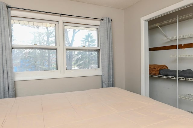 2904 Silver Lake Ct NE, Saint Anthony, MN 55421 - bedroom with a closet