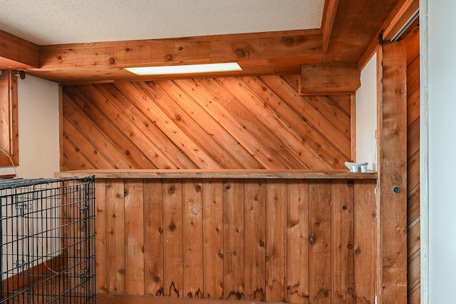 2904 Silver Lake Ct NE, Saint Anthony, MN 55421 - detailed view of wood walls