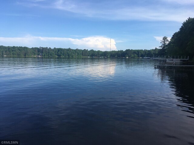 49734 202nd Pl, Mcgregor, MN 55760 - water view featuring a forest