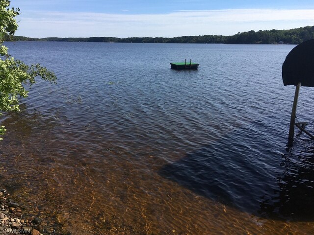 49734 202nd Pl, Mcgregor, MN 55760 - water view