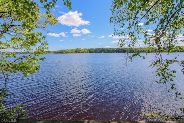 49734 202nd Pl, Mcgregor, MN 55760 - water view