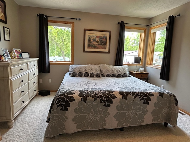 33617 Charlie Trapp Rd, Dent, MN 56528 - bedroom with carpet and baseboards