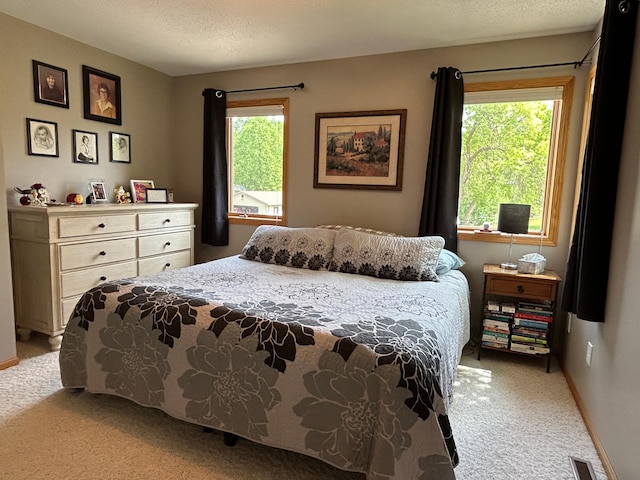 33617 Charlie Trapp Rd, Dent, MN 56528 - bedroom with light colored carpet