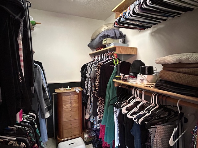 33617 Charlie Trapp Rd, Dent, MN 56528 - view of spacious closet