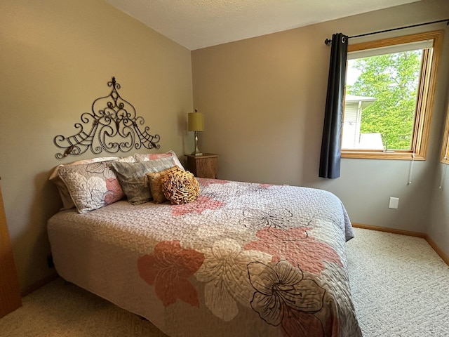 33617 Charlie Trapp Rd, Dent, MN 56528 - carpeted bedroom featuring baseboards