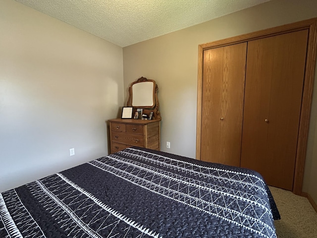 33617 Charlie Trapp Rd, Dent, MN 56528 - bedroom with a closet, carpet, and a textured ceiling