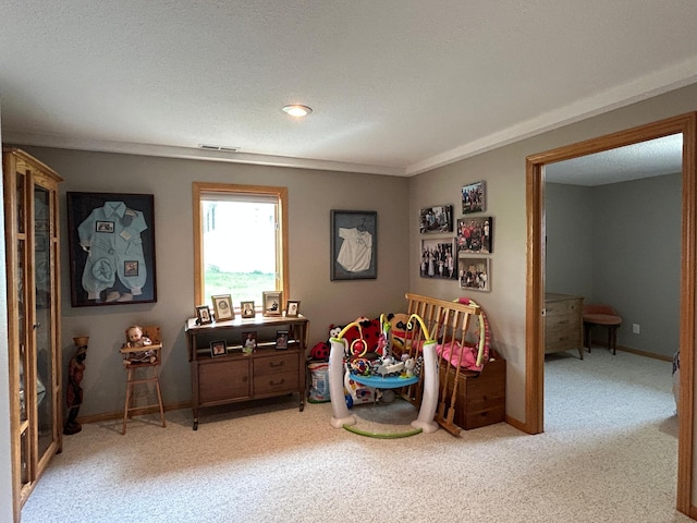 33617 Charlie Trapp Rd, Dent, MN 56528 - recreation room featuring light colored carpet and baseboards