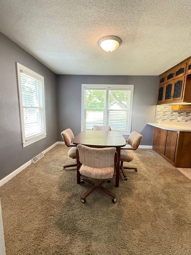 642 Grace St, Red Wing, MN 55066 - photo 8