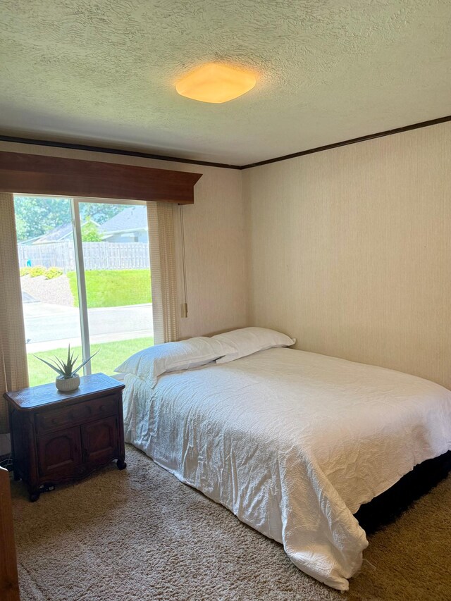 642 Grace St, Red Wing, MN 55066 - photo 13