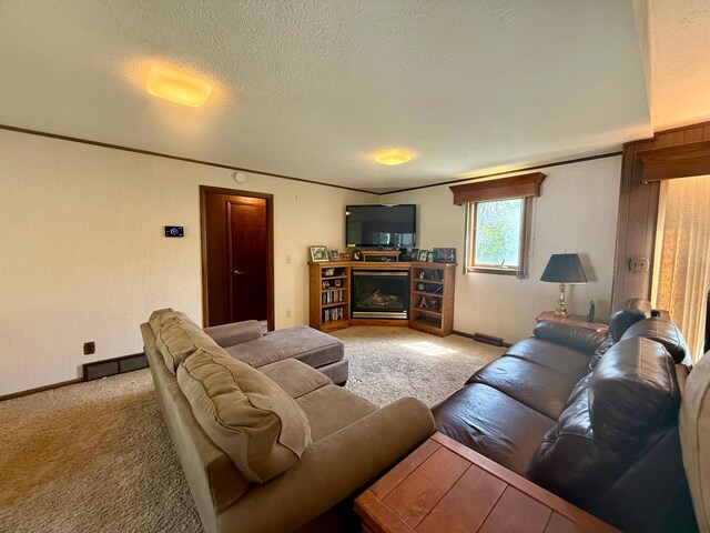 642 Grace St, Red Wing, MN 55066 - photo 14