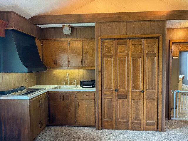 642 Grace St, Red Wing, MN 55066 - photo 16