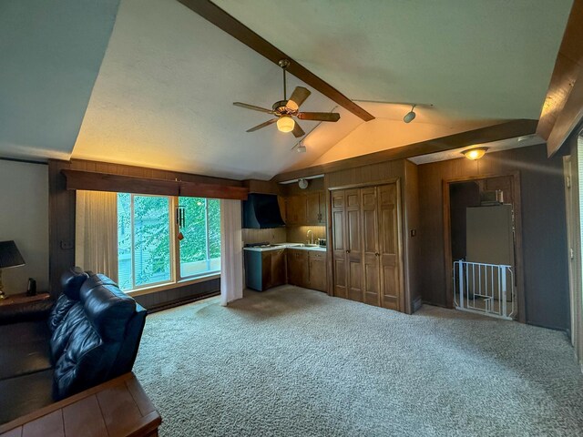 642 Grace St, Red Wing, MN 55066 - photo 15