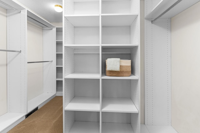 1212 Mill Creek Cir, Saint Cloud, MN 56303 - walk in closet featuring carpet floors
