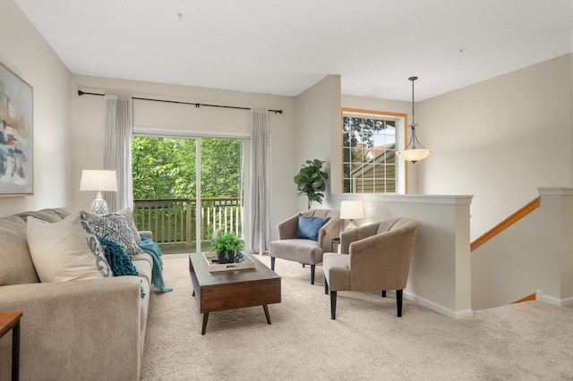 13872 52nd Ave N, Plymouth, MN 55446 - living room featuring carpet, healthy amount of natural light, and baseboards