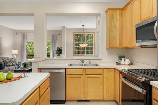 13872 52nd Ave N, Plymouth, MN 55446 - kitchen with stainless steel appliances, a sink, open floor plan, and healthy amount of natural light
