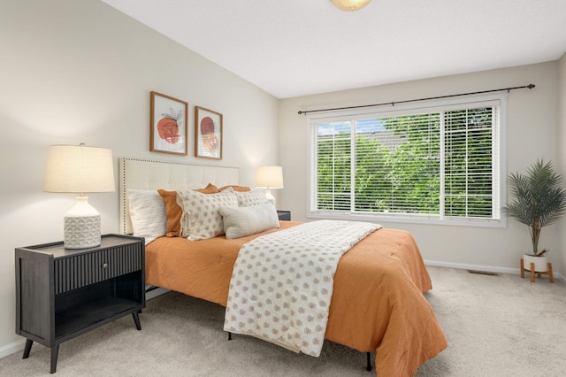13872 52nd Ave N, Plymouth, MN 55446 - bedroom featuring carpet and baseboards
