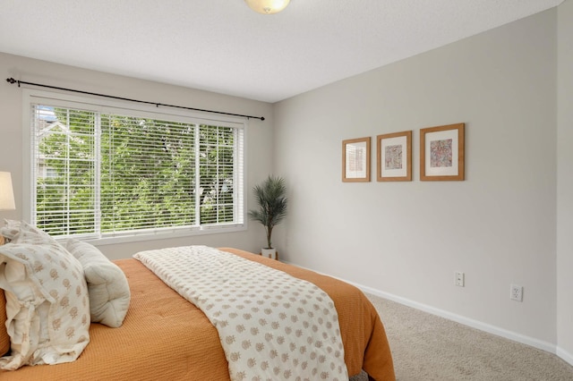 13872 52nd Ave N, Plymouth, MN 55446 - carpeted bedroom with baseboards