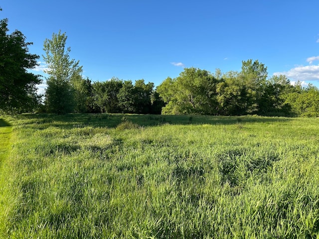 TBD 89th Ln, Greenfield, MN 55373