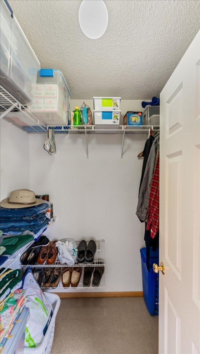16895 78th Pl N, Maple Grove, MN 55311 - walk in closet featuring carpet floors