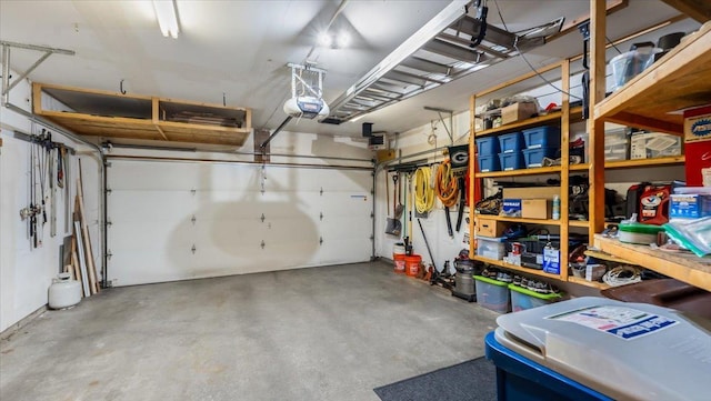 16895 78th Pl N, Maple Grove, MN 55311 - garage featuring a garage door opener
