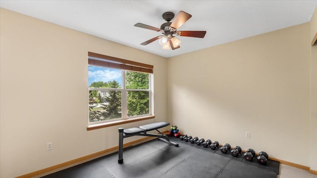 16895 78th Pl N, Maple Grove, MN 55311 - photo 15