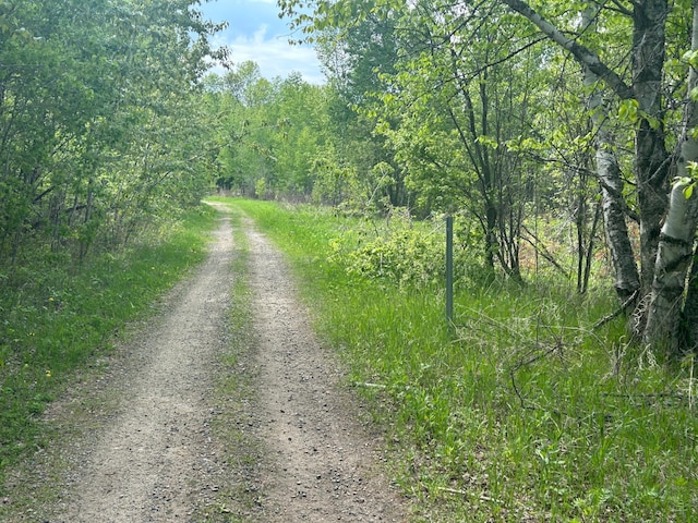 TBD State Highway 200, Hill Lake Twp, MN 55748