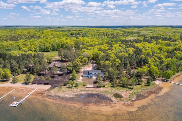 29655 E Horseshoe Lake Rd, Mission Twp, MN 56465 - bird's eye view of a forest