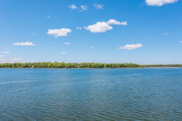 29655 E Horseshoe Lake Rd, Mission Twp, MN 56465 - water view