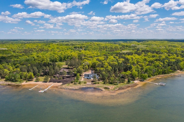 29655 E Horseshoe Lake Rd, Mission Twp, MN 56465 - aerial view of a heavily wooded area and a large body of water