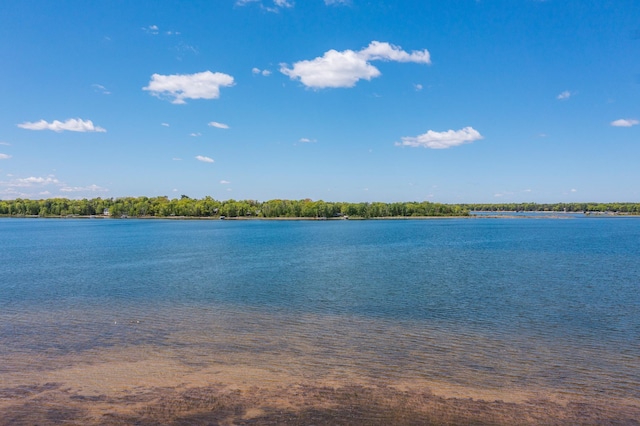 29655 E Horseshoe Lake Rd, Mission Twp, MN 56465 - water view