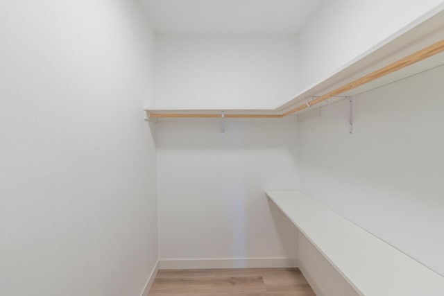 29655 E Horseshoe Lake Rd, Mission Twp, MN 56465 - spacious closet with light wood-type flooring