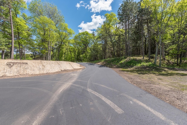 29655 E Horseshoe Lake Rd, Mission Twp, MN 56465 - view of asphalt road