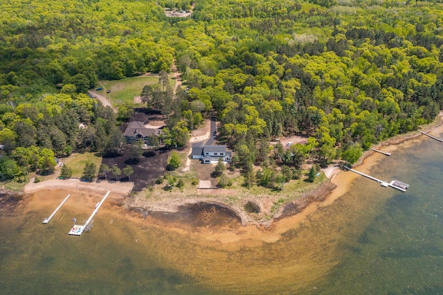 29655 E Horseshoe Lake Rd, Mission Twp, MN 56465 - drone / aerial view of a forest and a large body of water