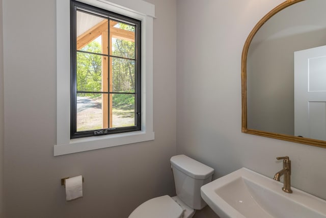 29655 E Horseshoe Lake Rd, Mission Twp, MN 56465 - bathroom featuring a sink and toilet