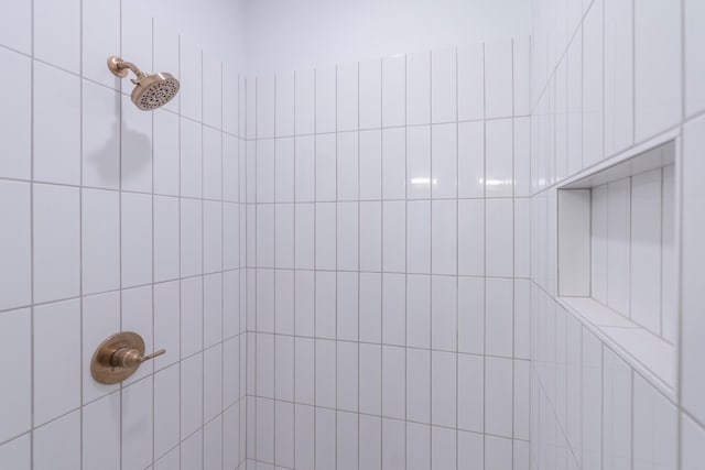 29655 E Horseshoe Lake Rd, Mission Twp, MN 56465 - bathroom view of a tile shower