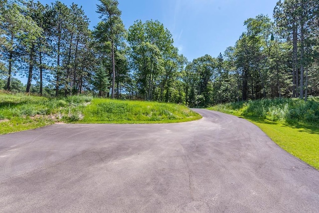 29655 E Horseshoe Lake Rd, Mission Twp, MN 56465 - view of asphalt road