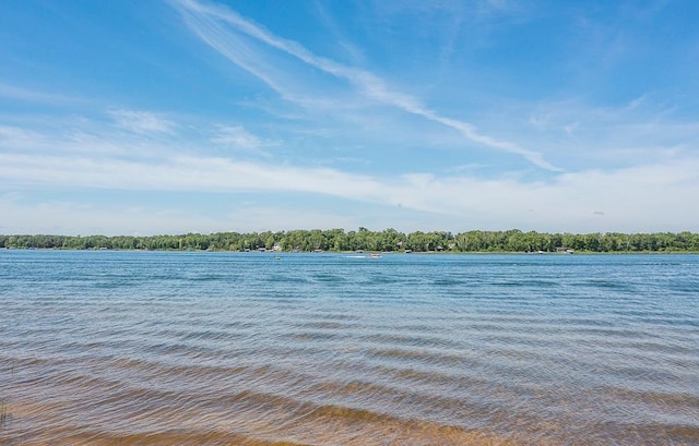 29655 E Horseshoe Lake Rd, Mission Twp, MN 56465 - water view
