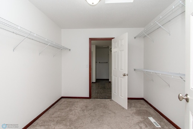 828 Cinnamon Ridge Pl, West Fargo, ND 58078 - spacious closet featuring carpet floors