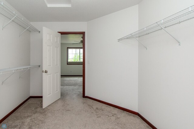 828 Cinnamon Ridge Pl, West Fargo, ND 58078 - spacious closet with carpet