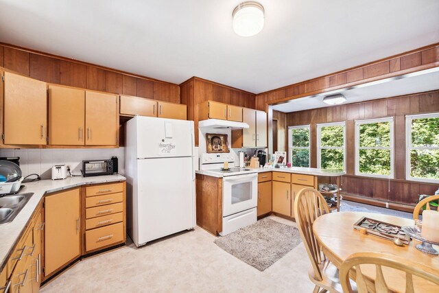 9074 Ireland Ave NW, Annandale, MN 55302 - photo 16