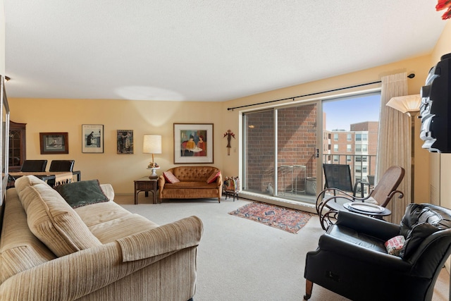 1425 28th St Unit 510, Minneapolis, MN 55408 - view of carpeted living area