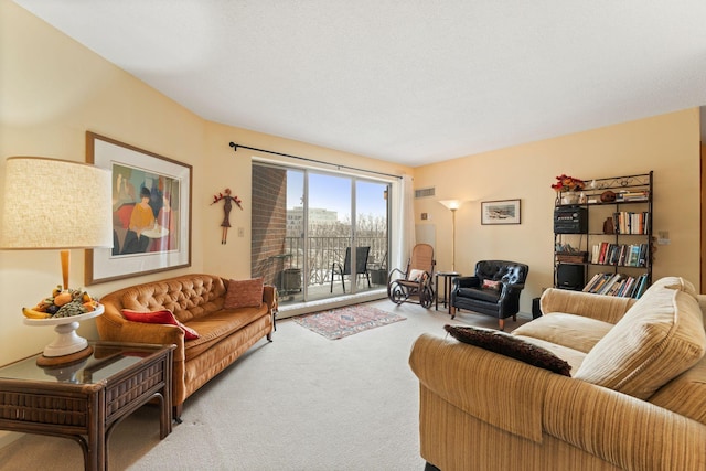 1425 28th St Unit 510, Minneapolis, MN 55408 - view of carpeted living area